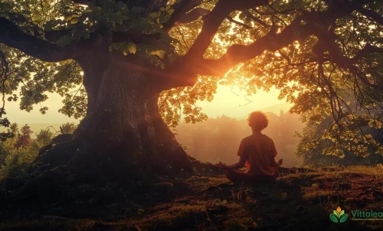 Meditar por Quanto Tempo: Dicas para Iniciantes